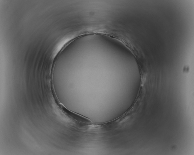 X0000110970052200907022255