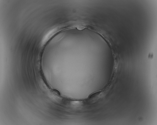 X0000110970053200907022255