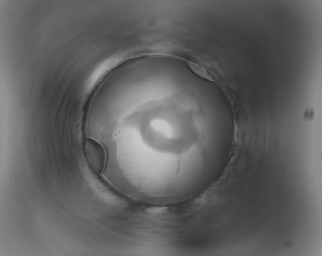 X0000110970054200907022255