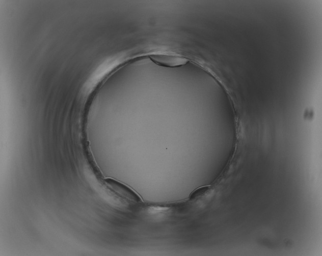 X0000110970055200907022255