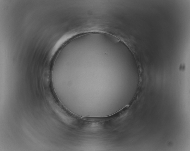 X0000110970056200907022255