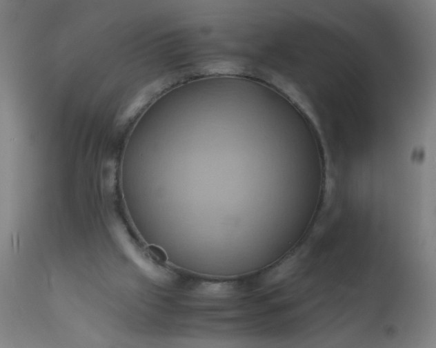 X0000110970057200907022255