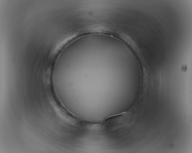 X0000110970058200907022255