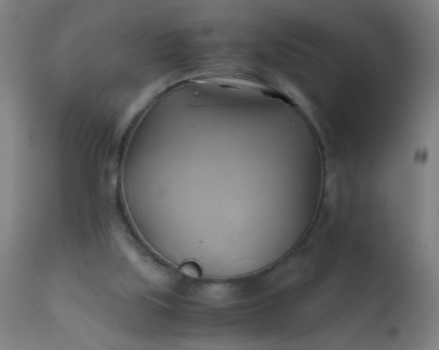 X0000110970059200907022255