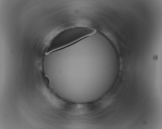 X0000110970060200907022255