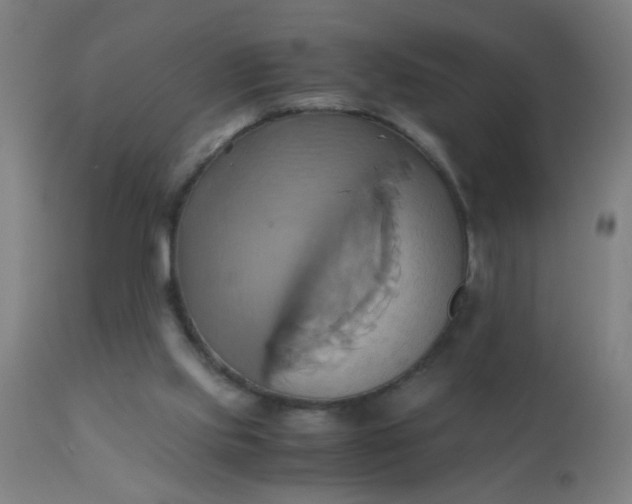 X0000110970061200907022255