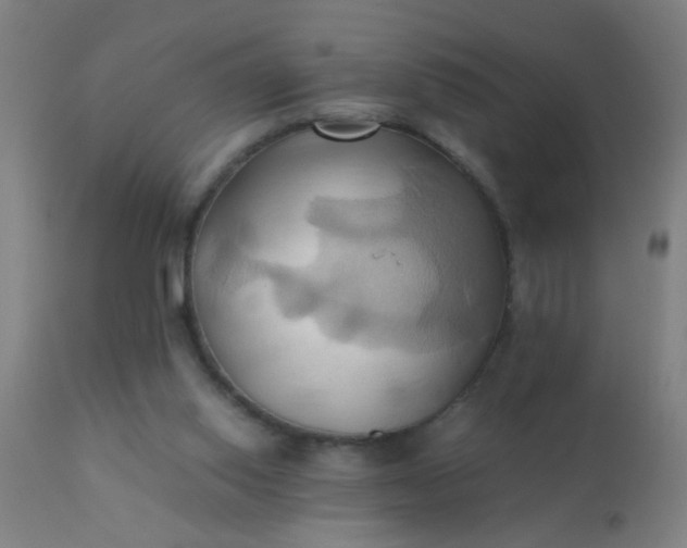 X0000110970062200907022255