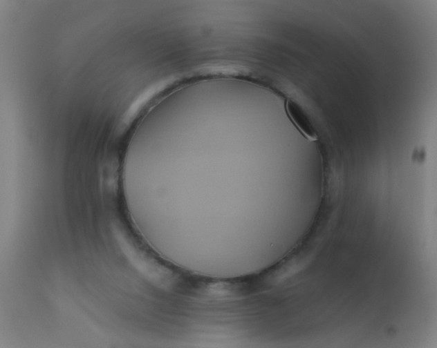 X0000110970064200907022255