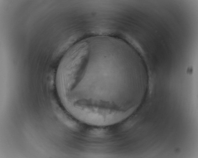 X0000110970065200907022255