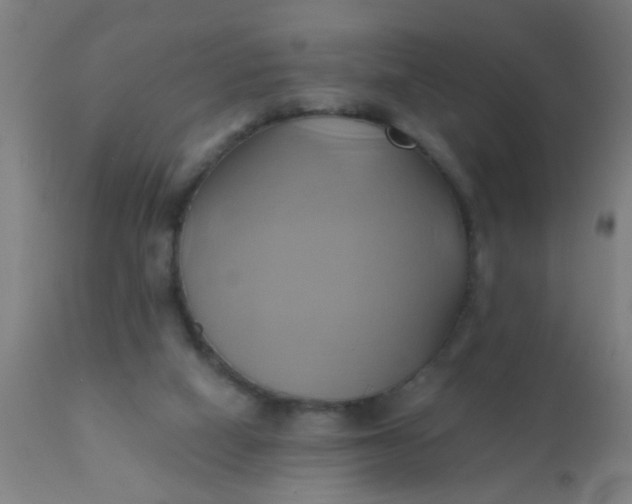 X0000110970066200907022255