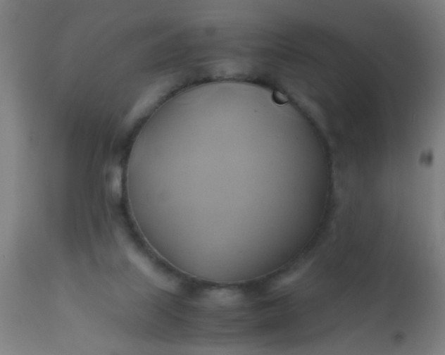 X0000110970067200907022255