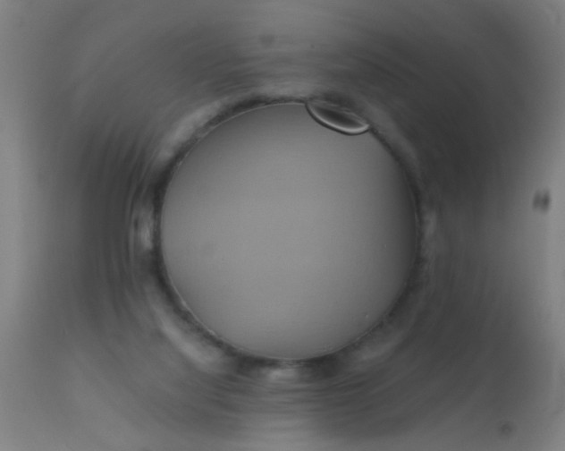 X0000110970068200907022255