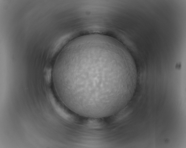 X0000110970070200907022255