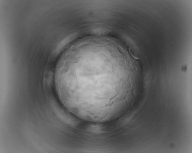 X0000110970071200907022255