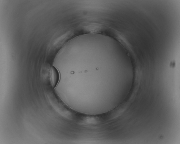 X0000110970073200907022255