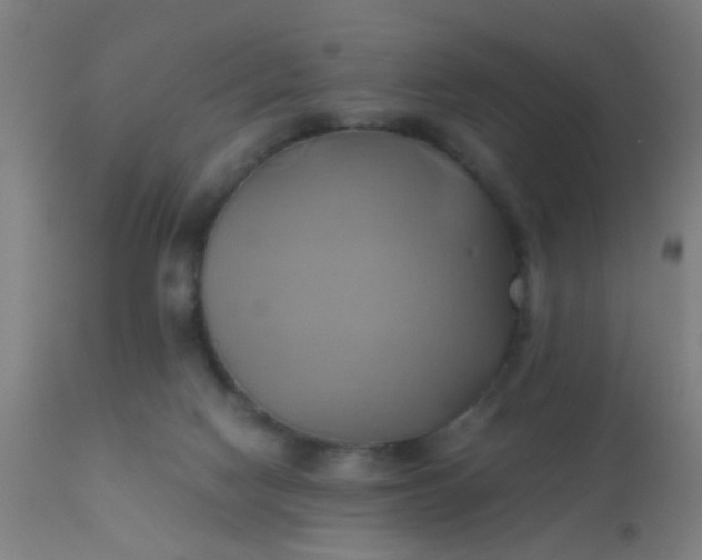 X0000110970074200907022255