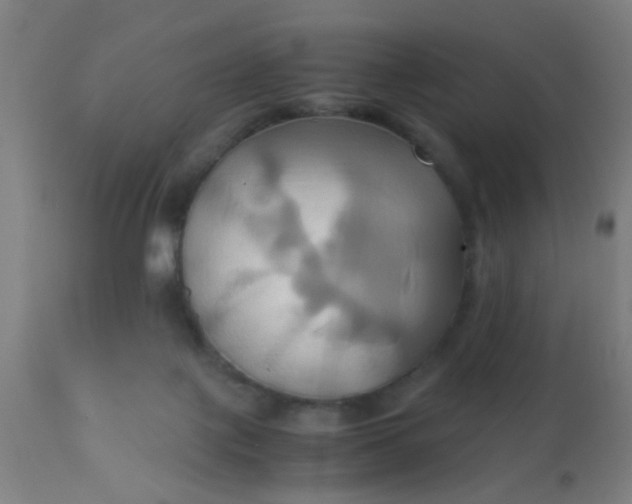 X0000110970075200907022255