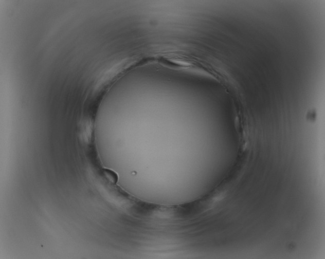 X0000110970076200907022255