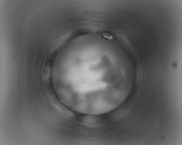 X0000110970077200907022255