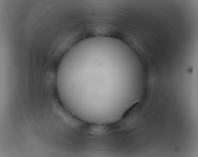 X0000110970079200907022255