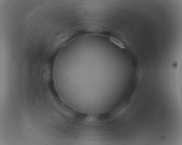 X0000110970080200907022255