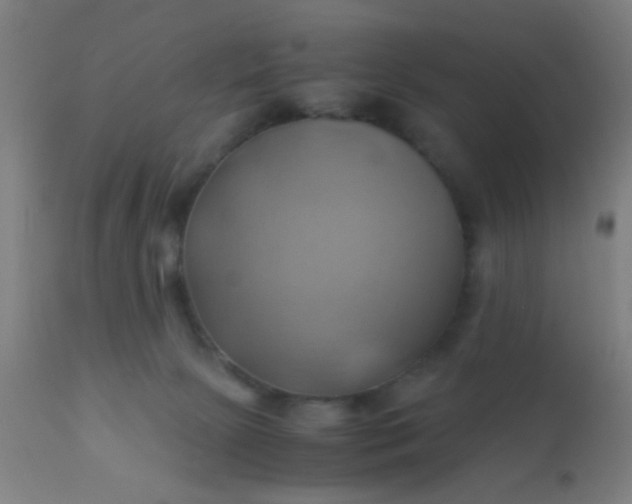 X0000110970081200907022255