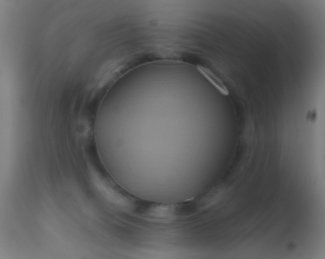 X0000110970084200907022255