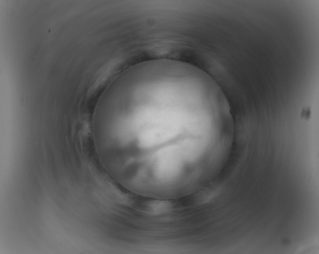 X0000110970085200907022255