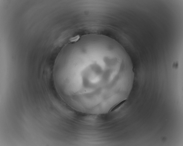 X0000110970086200907022255