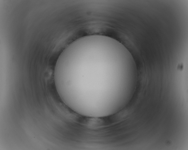 X0000110970087200907022255