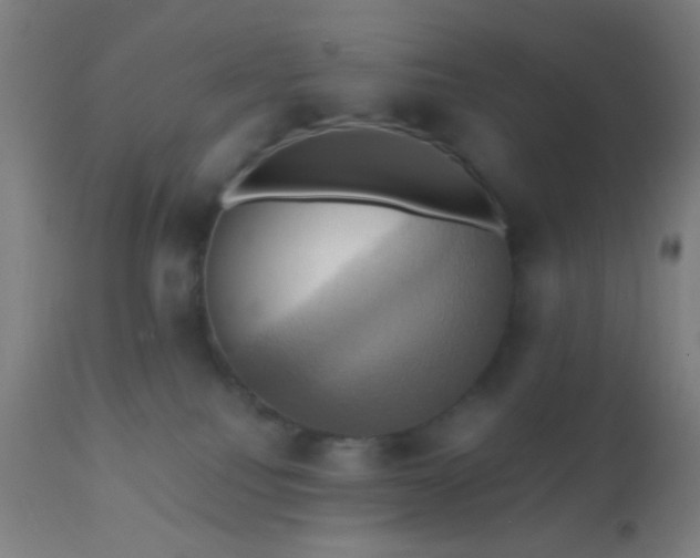 X0000110970088200907022255