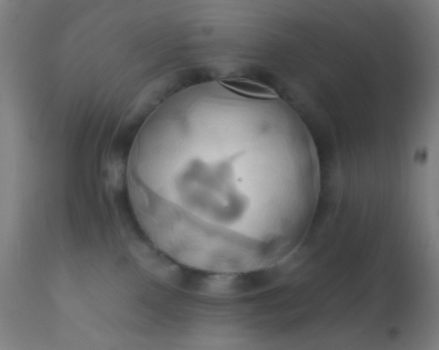 X0000110970090200907022255