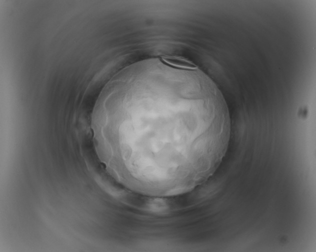 X0000110970091200907022255