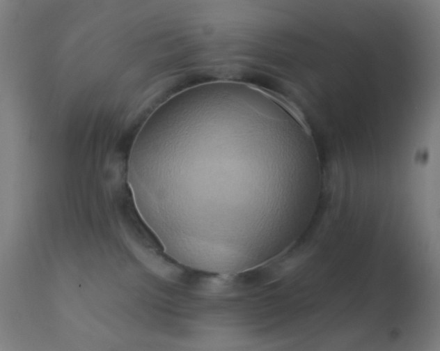 X0000110970092200907022255