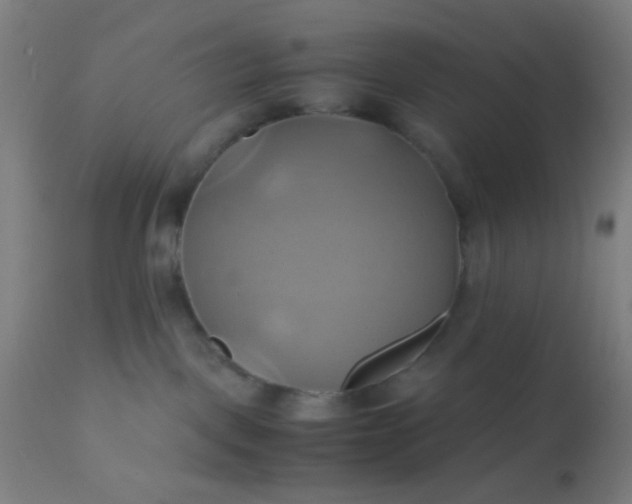 X0000110970093200907022255