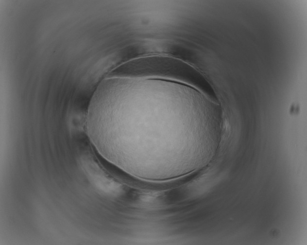 X0000110970096200907022255