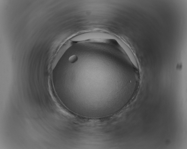 X0000110970097200907022255