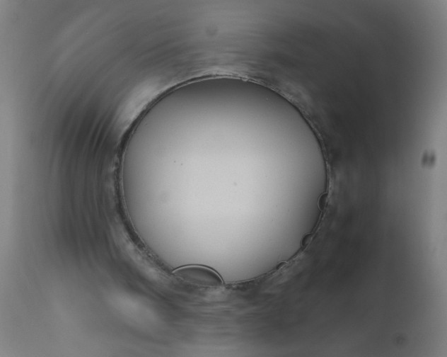 X0000110970098200907022255