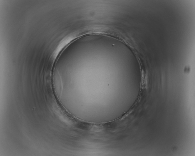 X0000110970099200907022255