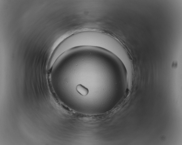 X0000110970100200907022255