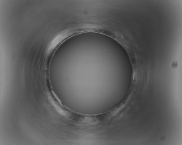 X0000110970101200907022255