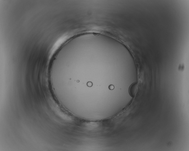 X0000110970102200907022255