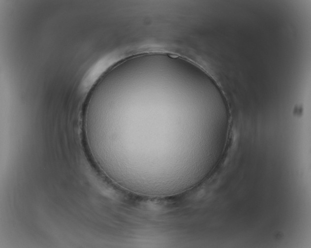 X0000110970103200907022255