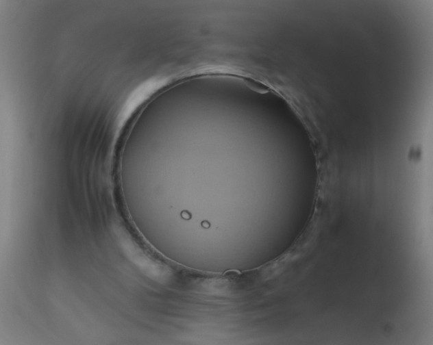 X0000110970104200907022255