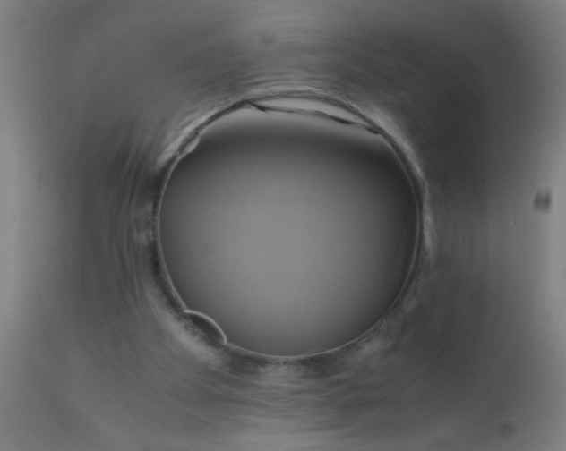 X0000110970105200907022255