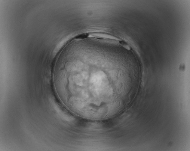 X0000110970107200907022255