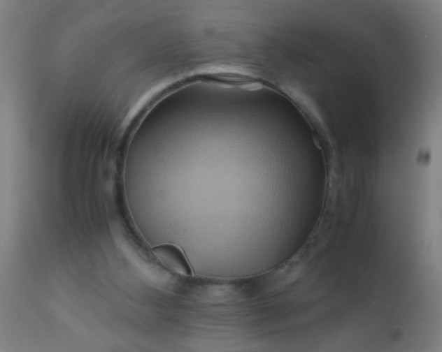 X0000110970108200907022255