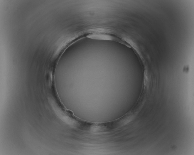 X0000110970109200907022255