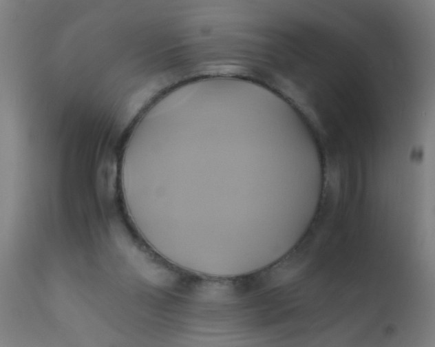 X0000110970110200907022255