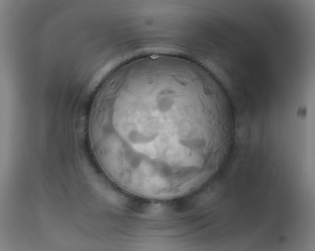 X0000110970111200907022255